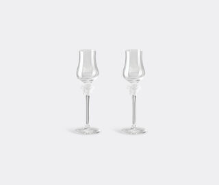 Rosenthal 'Medusa Lumiere' grappa glass TRANSPARENT ROSE22MED821TRA