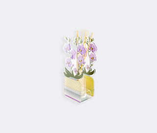 VESTA 'Livinia' diffuser, large, orchid violet PURPLE VEST25LIV213PUR