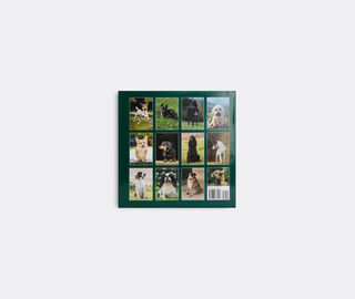 Rizzoli International&nbsp;Publications 'Country Life's Book Of Dogs' MULTICOLOUR RIZZ25COU446MUL