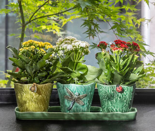 Bordallo Pinheiro 'Jardim De Insetos', set of three MULTICOLOUR BOPI22JAR375MUL