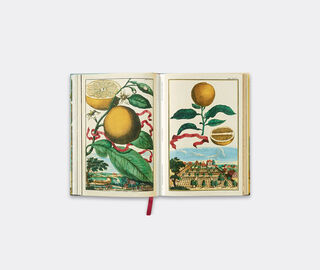 Taschen 'J C Volkamer: The Book of Citrus Fruits' MULTICOLOUR TASC22JCV250MUL