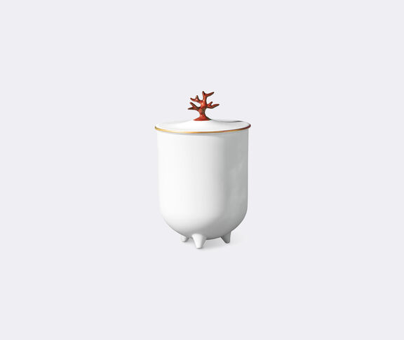 L'Objet Footed Coral Candle undefined ${masterID} 2