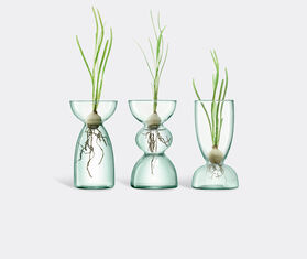 LSA International &#39;Canopy Trio&#39; vase, set of three TRANSPARENT LSAI20CAN089TRA