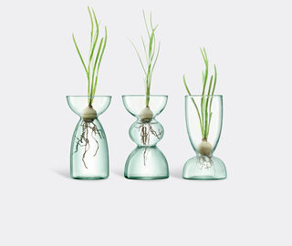 LSA International 'Canopy Trio' vase, set of three TRANSPARENT LSAI20CAN089TRA