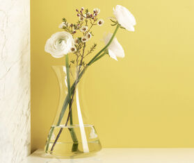 Ichendorf Milano &#39;Stand Up&#39; carafe TRANSPARENT ICMI21STA852TRA