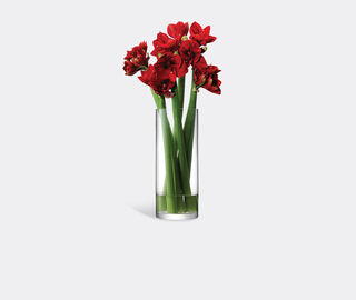 LSA International 'Column' vase, large TRANSPARENT LSAI20COL043TRA