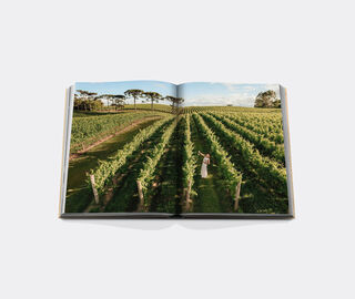 Assouline 'Wine &amp; Travel Latin America' MULTICOLOUR ASSO26WIN680MUL