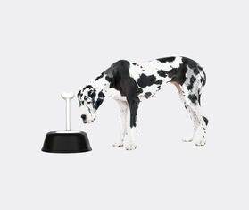 Alessi &#39;Lupita&#39; dog bowl, black BLACK ALES21LUP047BLK