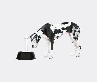 Alessi 'Lupita' dog bowl, black BLACK ALES21LUP047BLK