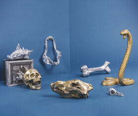 Seletti 'Wunderkrammer Skull', gold GOLD SELE21SKU919GRY