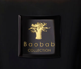 Baobab Collection 'Les Prestigieuses Encre de Chine' candle, medium BLACK BAOB23LES320BLK