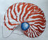 Les-Ottomans 'Shell' embroidered cushion multicolor OTTO23COT224MUL