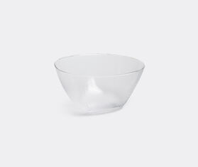 Wrong for Hay 'Tela' bowl TRANSPARENT WFHA15TEL609TRA