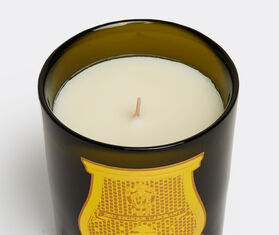 Trudon 'Cyrnos' candle GREEN CITR21CYR464GRN