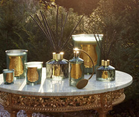 Trudon 'Figuerie' scented candle, medium, green BLUE CITR26FIG943BLU