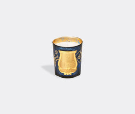 Trudon 'Fir' candle, small BLUE CITR22SCE361BLU