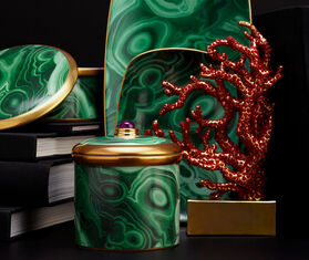 L&#39;Objet Coral bookend GOLD LOBJ22COR364MUL