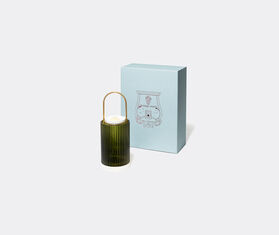 Trudon &#39;La Promeneuse&#39; GREEN CITR20LAP074GRN