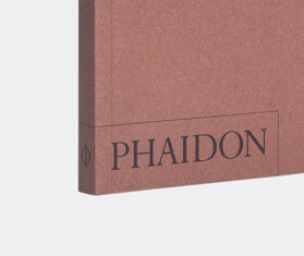 Phaidon Wallpaper* City Guide Berlin BROWN PHAI20WAL113MUL