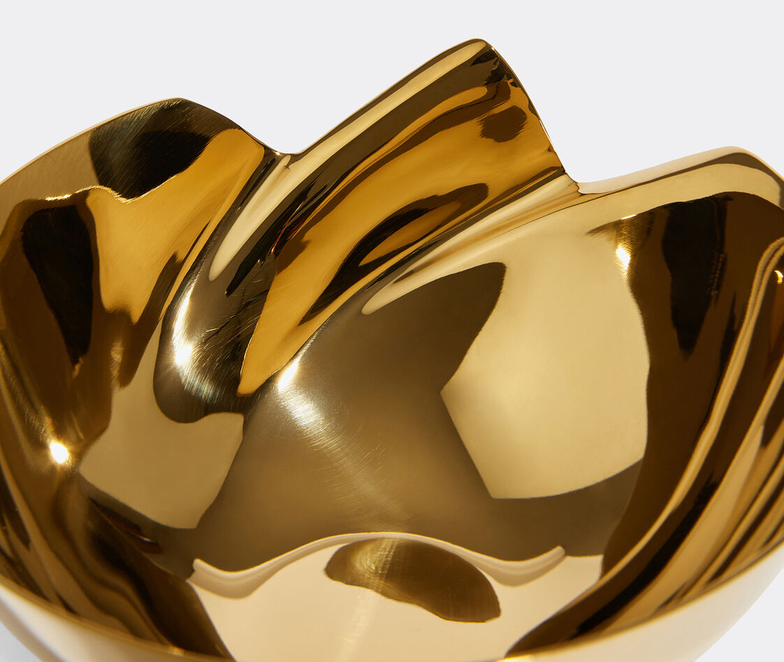 Shop Zaha Hadid Design Decorative Objects Gold Uni
