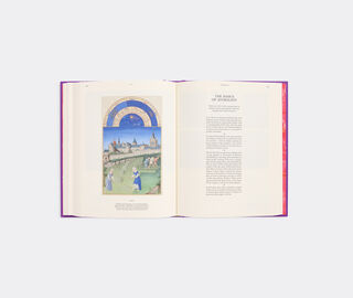 Thames &amp; Hudson 'Prophecies: Omens, Auguries, Divination, Oracles, Dreams, Apocalypse' MULTICOLOR THHU26PRO633MUL