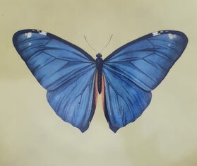 Les-Ottomans &#39;Insetti&#39; porcelain plate, butterfly YELLOW OTTO21INS825MUL