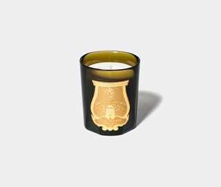 Trudon 'Gabriel' candle GREEN CITR20GAB570GRN