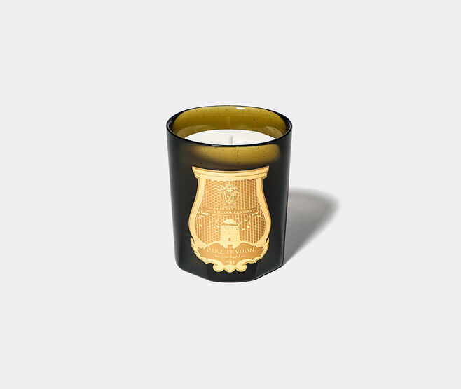 Trudon 'Gabriel' candle GREEN CITR20GAB570GRN