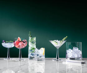 LSA International 'Gin' tumbler, set of two TRANSPARENT LSAI20GIN002TRA