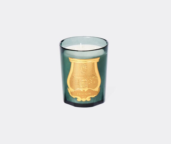 Trudon 'Figuerie' scented candle, medium, green BLUE CITR26FIG943BLU