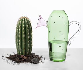 Ichendorf Milano 'Desert Plants' jug, green and pink GREEN ICMI26DES840GRN