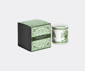 Dolce&amp;Gabbana Casa &#39;Maiolica&#39; scented candle, Sicilian neroli and lemon, green GREEN DGCA25GLA114GRN