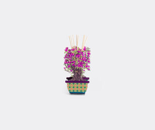 VESTA 'Magnolia Bonsai' diffuser, small, pink VIOLET VEST26BON380PUR