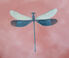 Les-Ottomans 'Insetti' porcelain plate, dragonfly  OTTO21INS832MUL