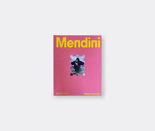 Phaidon 'Alessandro Mendini: Imagination Takes Command' MULTICOLOUR PHAI25ALE679MUL