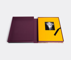 Assouline 'Impossible Collection of Warhol' MULTICOLOUR ASSO17IMP271GRN