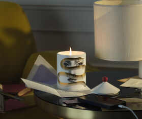 Fornasetti &#39;Se Poi&#39; candle, Peccato Originale decor MULTICOLOUR FORN23SCE440MUL