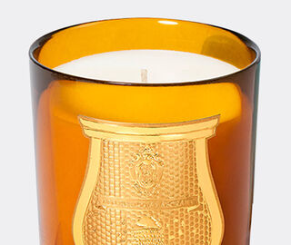 Trudon 'Alta&iuml;r' scented candle, small, ochre YELLOW CITR26ALT636YEL