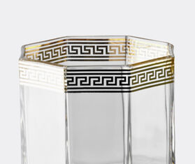 Rosenthal 'Medusa d'Or' whisky glasses, set of two MULTICOLOUR ROSE21MED807TRA