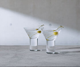 LSA International 'Vodka' cocktail glass, set of two TRANSPARENT LSAI20VOD421TRA