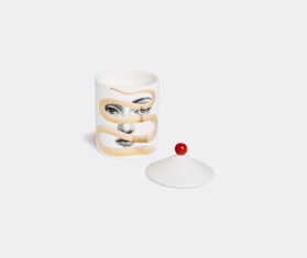 Fornasetti &#39;Se Poi&#39; candle, Peccato Originale decor MULTICOLOUR FORN23SCE440MUL