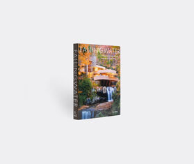 Rizzoli International&nbsp;Publications &#39;Fallingwater: Living With And In Art&#39; MULTICOLOUR RIZZ25FAL865MUL