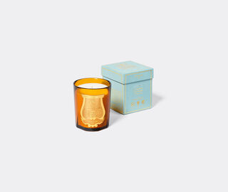 Trudon 'Alta&iuml;r' scented candle, small, ochre YELLOW CITR26ALT636YEL