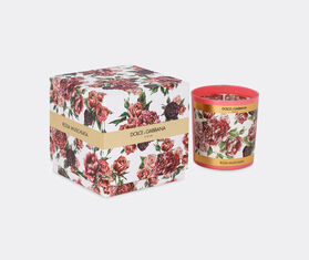 Dolce&amp;Gabbana Casa 'Musk Rose' scented candle MULTICOLOUR DGCA23PER390MUL