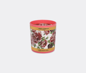 Dolce&amp;Gabbana Casa 'Musk Rose' scented candle MULTICOLOUR DGCA23PER390MUL
