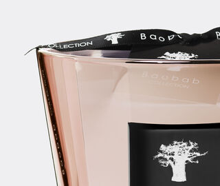 Baobab Collection 'Les Exclusives Roseum' candle, small PINK BAOB23LES978PIN