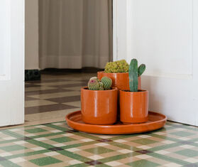 Basis &#39;Terracotta&#39; saucer with three pots TERRACOTTA BASI22TER985CIN