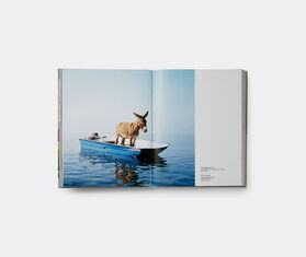 Phaidon 'Paola Pivi' MULTICOLOUR PHAI22PAO377MUL