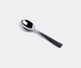 Sambonet Serving spoon MULTICOLOUR SAMB15SER110SIL