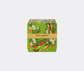 Dolce&amp;Gabbana Casa 'Sicilian Orange' scented candle MULTICOLOUR DGCA23PER748MUL